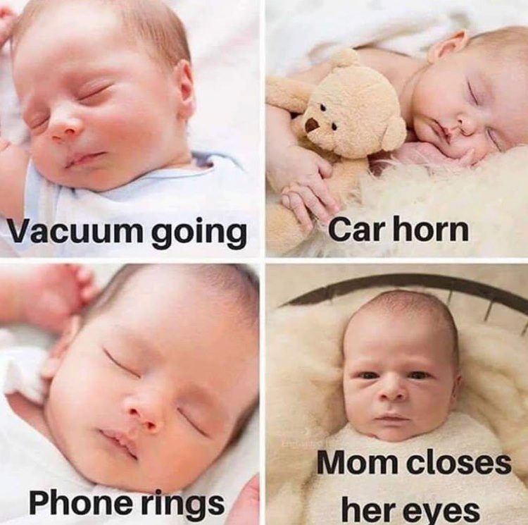 random pics - mom closes her eyes - Vacuum going Car horn Phone rings Mom closes her eyes