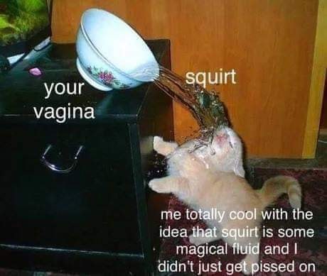 your vagina squirt meme - squirt your vagina me totally cool with the idea that squirt is some magical fluid and I didn't just get pissed on