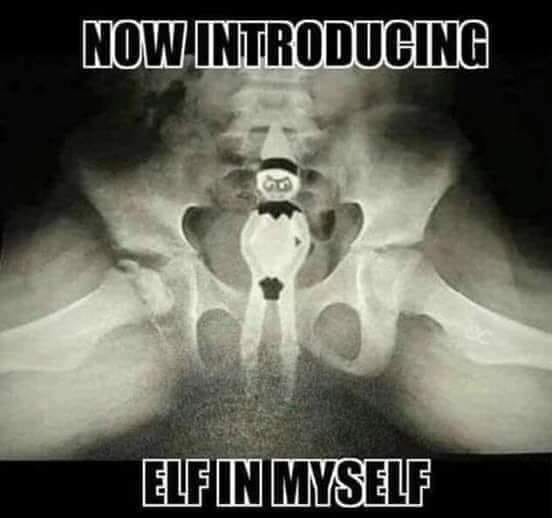 elf in myself x ray meme - Now Introducing Elfin Myself