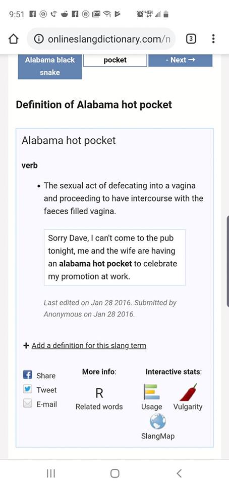 web page - F F M 4 o onlineslangdictionary.comn 3 pocket Next Alabama black snake Definition of Alabama hot pocket Alabama hot pocket verb The sexual act of defecating into a vagina and proceeding to have intercourse with the faeces filled vagina. Sorry D