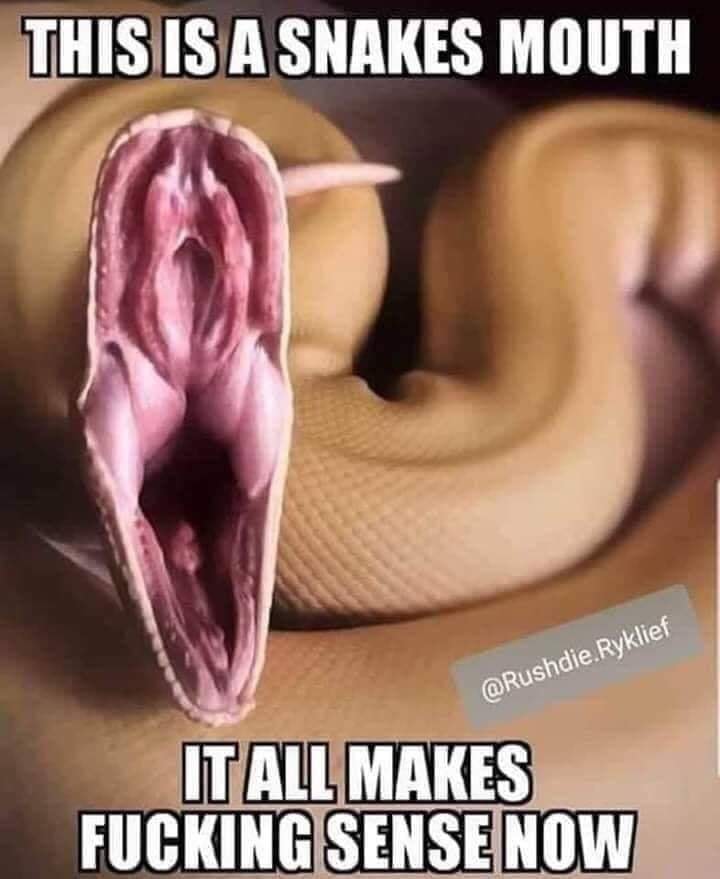 snakes mouth meme - This Is A Snakes Mouth . Ryklief It All Makes Fucking Sense Now
