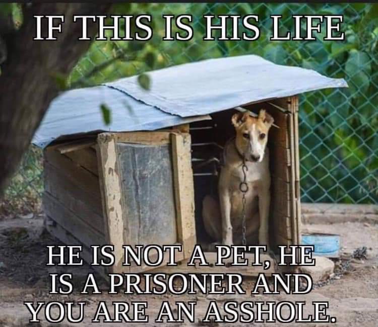 random pics - and - If This Is His Life He Is Not A Pet, He Is A Prisoner And You Are An Asshole.