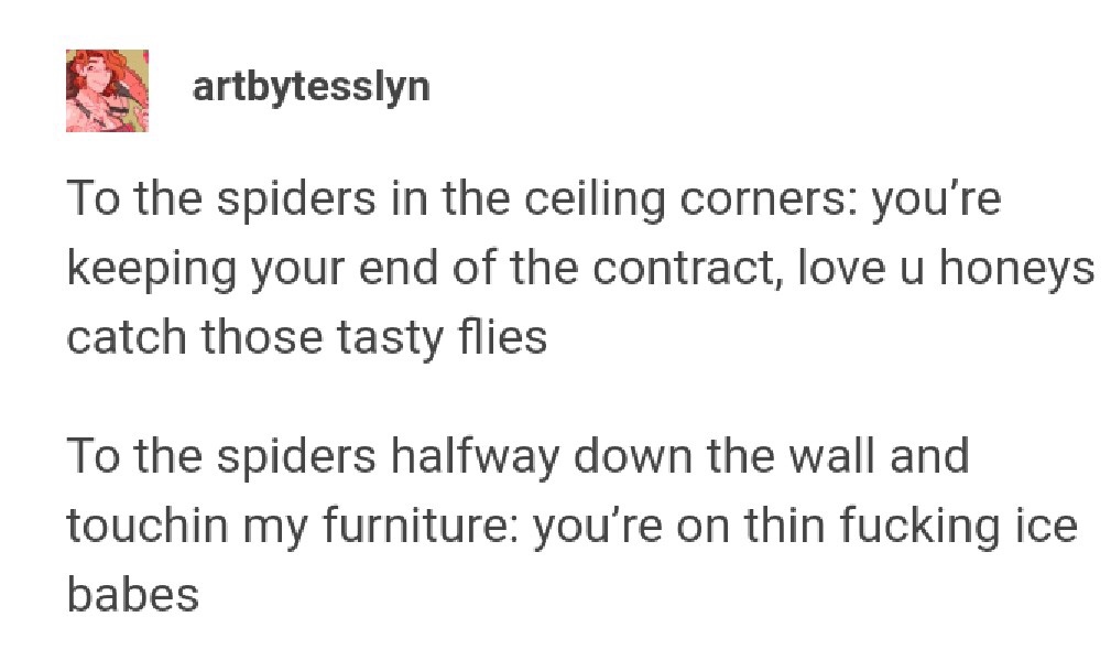 random pics - document - artbytesslyn To the spiders in the ceiling corners you're keeping your end of the contract, love u honeys catch those tasty flies To the spiders halfway down the wall and touchin my furniture you're on thin fucking ice babes