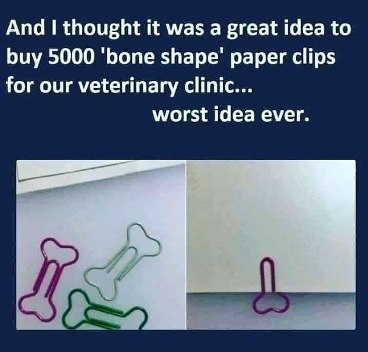random pics - vet clinic memes - And I thought it was a great idea to buy 5000 'bone shape' paper clips for our veterinary clinic... worst idea ever.
