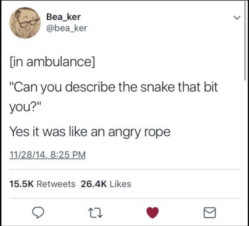 random pics - document - Bea_ker in ambulance "Can you describe the snake that bit you?" Yes it was an angry rope 112814,