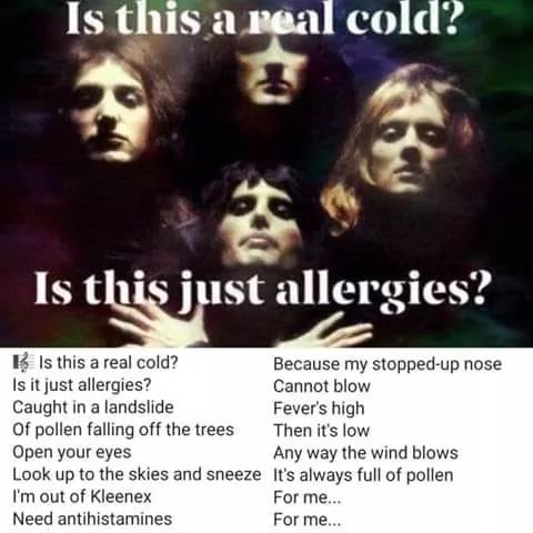 random pics -poster queen bohemian rhapsody - Is this a real cold? Is this just allergies? B Is this a real cold? Because my stoppedup nose Is it just allergies? Cannot blow Caught in a landslide Fever's high Of pollen falling off the trees Then it's low 
