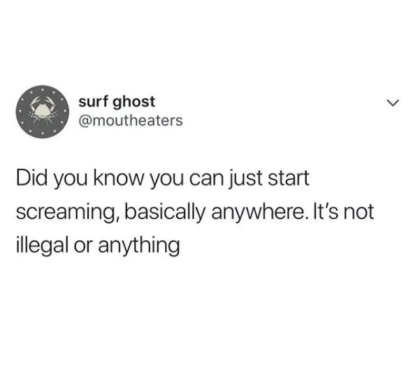 funny pics - toxic family meme - surf ghost Did you know you can just start screaming, basically anywhere. It's not illegal or anything