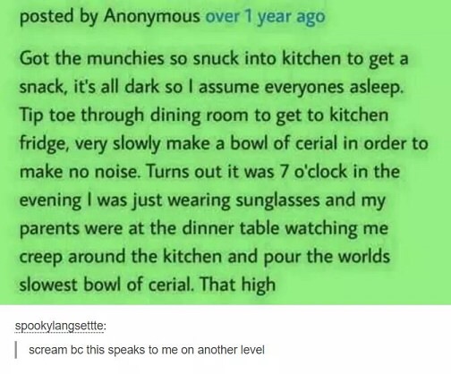 funny pics - funny pics of anything - posted by Anonymous over 1 year ago Got the munchies so snuck into kitchen to get a snack, it's all dark so I assume everyones asleep. Tip toe through dining room to get to kitchen fridge, very slowly make a bowl of c