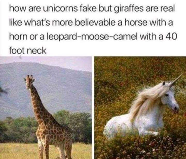 leopard moose camel with a 40 foot neck - how are unicorns fake but giraffes are real what's more believable a horse with a horn or a leopardmoosecamel with a 40 foot neck