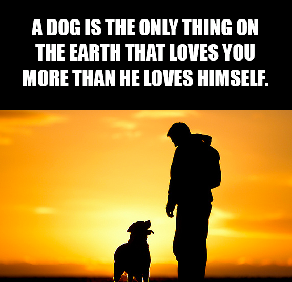 successful black man meme - A Dog Is The Only Thing On The Earth That Loves You More Than He Loves Himself.