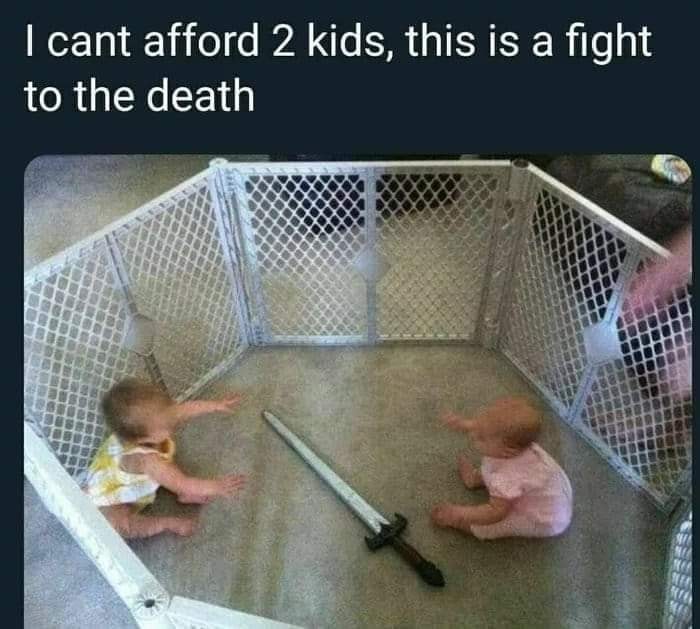 babies with sword - I cant afford 2 kids, this is a fight to the death