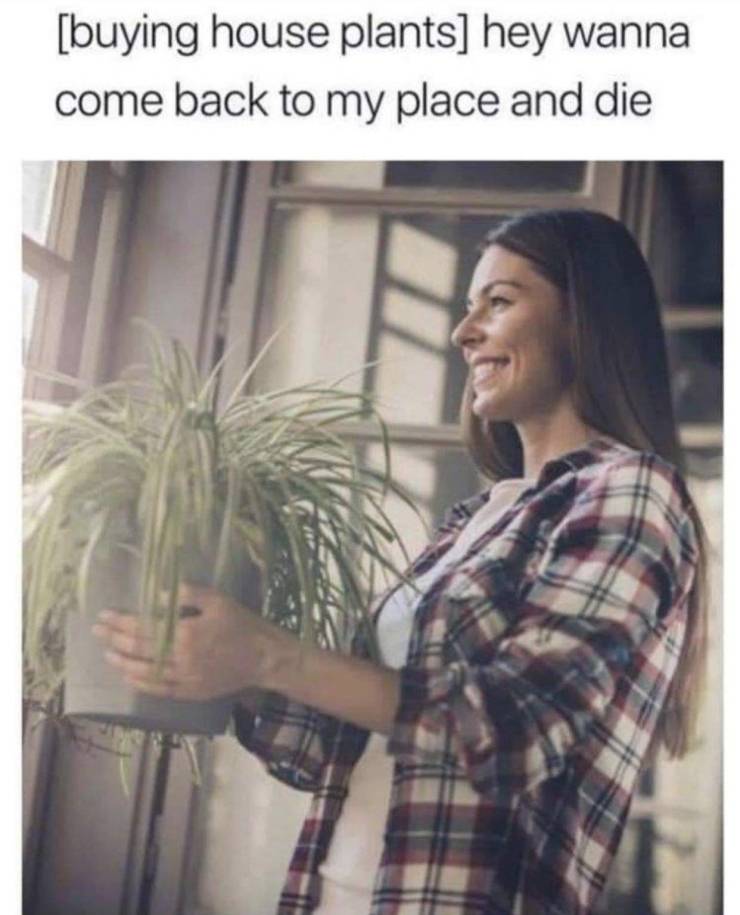 buying house plants meme - buying house plants hey wanna come back to my place and die