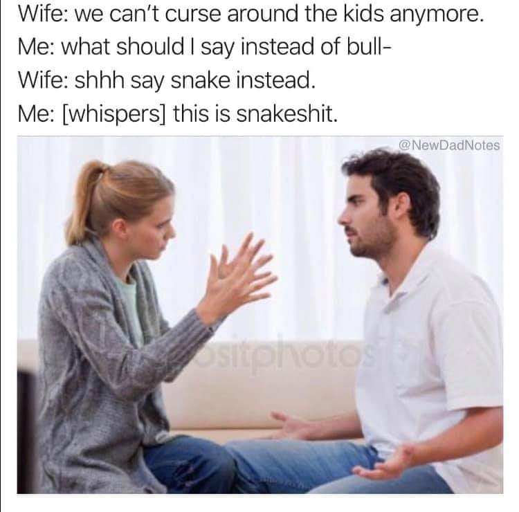 couple arguing - Wife we can't curse around the kids anymore. Me what should I say instead of bull Wife shhh say snake instead. Me whispers this is snakeshit. DadNotes Stohoto