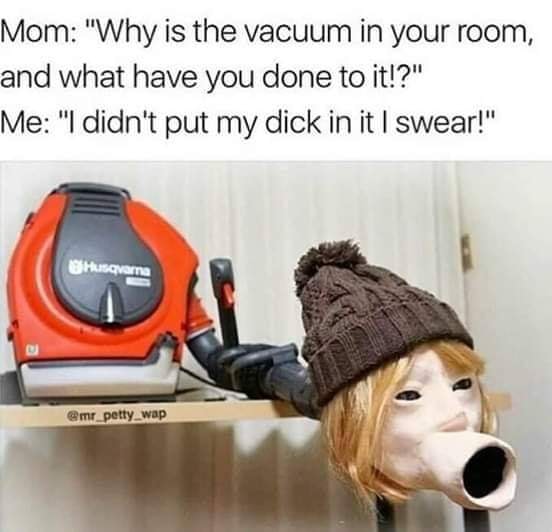 photo caption - Mom "Why is the vacuum in your room, and what have you done to it!?" Me "I didn't put my dick in it I swear!" Husqvarn