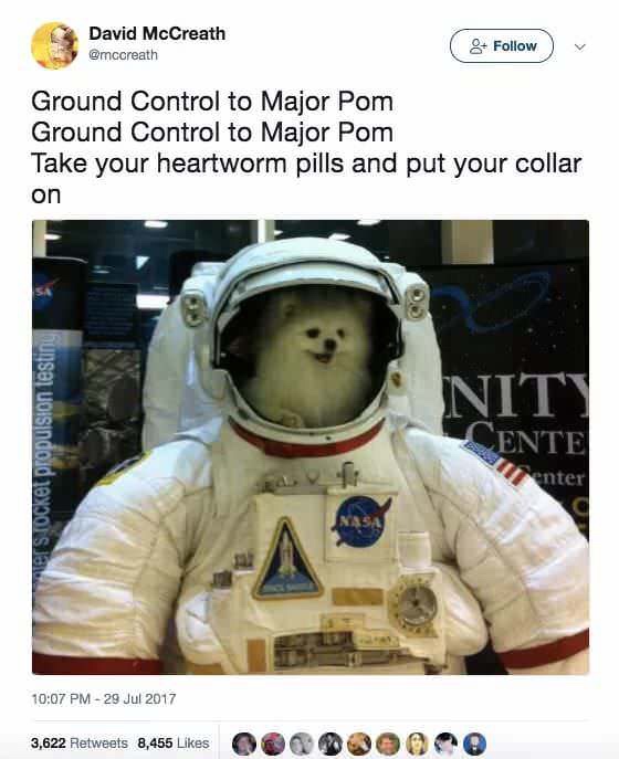 ground control to major pom - David McCreath 8 v Ground Control to Major Pom Ground Control to Major Pom Take your heartworm pills and put your collar on Nity Mer Stocket Propulsion testing Ente enter 3,622 8,455 3,622 8,455 Oam 0