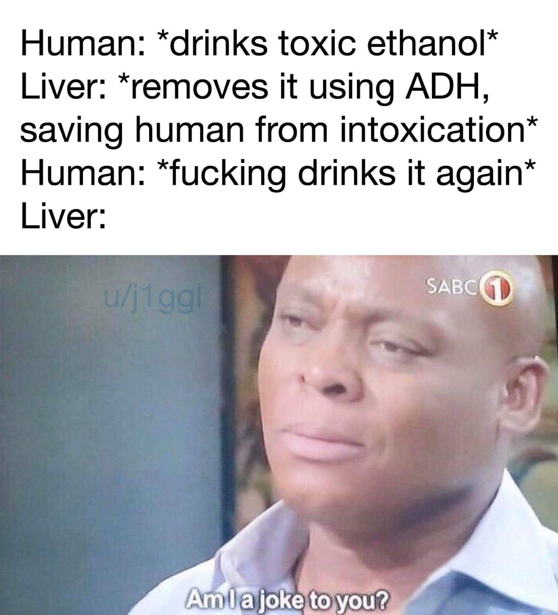 am i fucking joke to you meme - Human drinks toxic ethanol Liver removes it using Adh, saving human from intoxication Human fucking drinks it again Liver uj1ggl Sabc Amla joke to you?