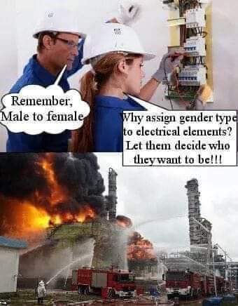 electrical gender meme - Remember, Male to female Why assign gender type to electrical elements? Let them decide who they want to be!!!