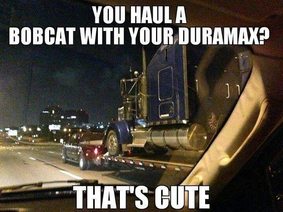 meme of rebecca black friday meme - You Haula Bobcat With Your Duramax? That'S Cute