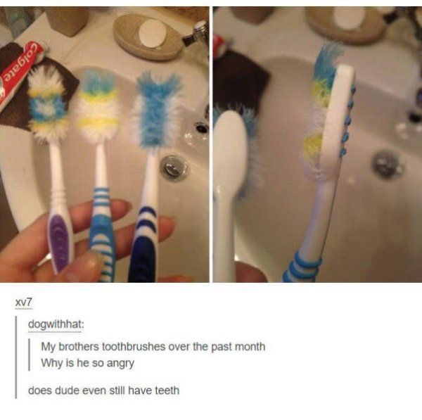 meme of my brother toothbrush why is he so angry - Colgate XV7 dogwithhat My brothers toothbrushes over the past month Why is he so angry does dude even still have teeth