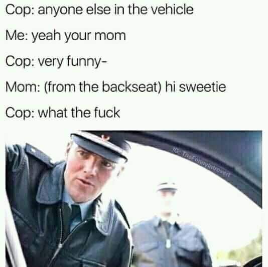 your mom police meme - Cop anyone else in the vehicle Me yeah your mom Cop very funny Mom from the backseat hi sweetie Cop what the fuck BeFit