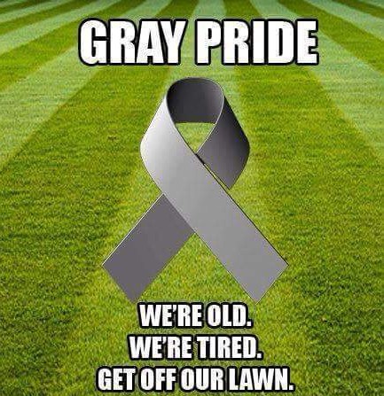 gray pride - Gray Pride We'Re Old. We'Re Tired. Get Off Our Lawn.
