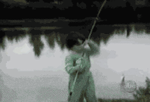 scared of fish gif