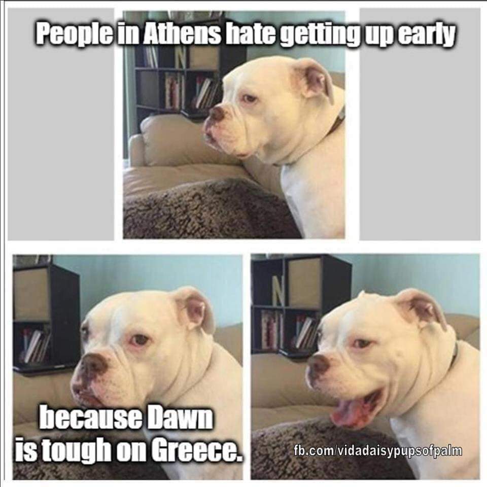 photo caption - People in Athens hate getting up early because Dawn is tough on Greece. fb.comvidadaisypupsofpalm fb.comvidadais