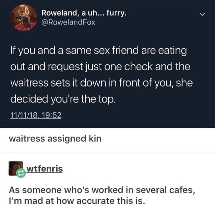 media - Roweland, a uh... furry. 'If you and a same sex friend are eating out and request just one check and the waitress sets it down in front of you, she decided you're the top. 111118, waitress assigned kin wtfenris As someone who's worked in several c