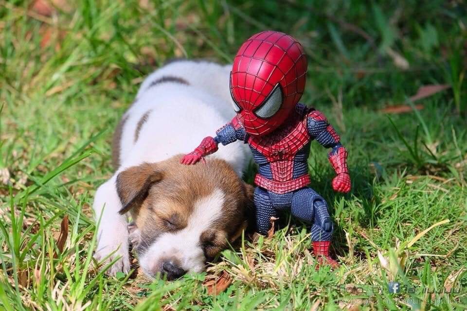 spiderman toy with puppy