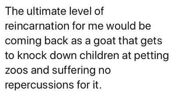 friendship depression quotes - The ultimate level of reincarnation for me would be coming back as a goat that gets to knock down children at petting zoos and suffering no repercussions for it.
