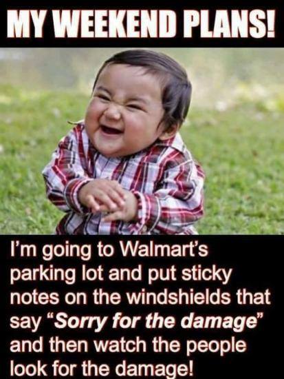 burton agnes hall - My Weekend Plans! I'm going to Walmart's parking lot and put sticky notes on the windshields that say Sorry for the damage" and then watch the people look for the damage!