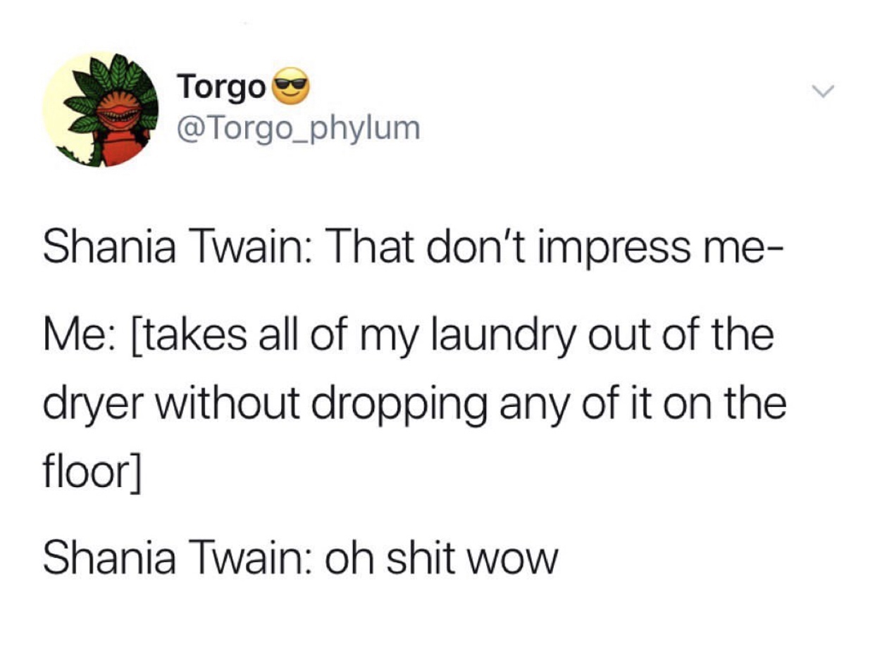 document - Torgo Shania Twain That don't impress me Me takes all of my laundry out of the dryer without dropping any of it on the floor Shania Twain oh shit wow
