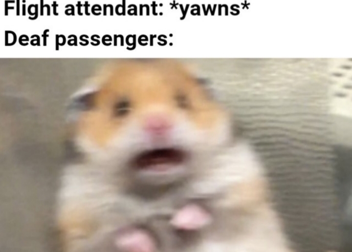 hamster - Flight attendant yawns Deaf passengers