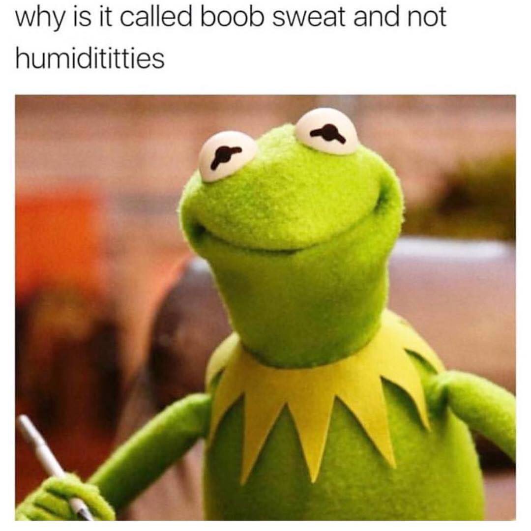 sweaty tits meme - why is it called boob sweat and not humidititties