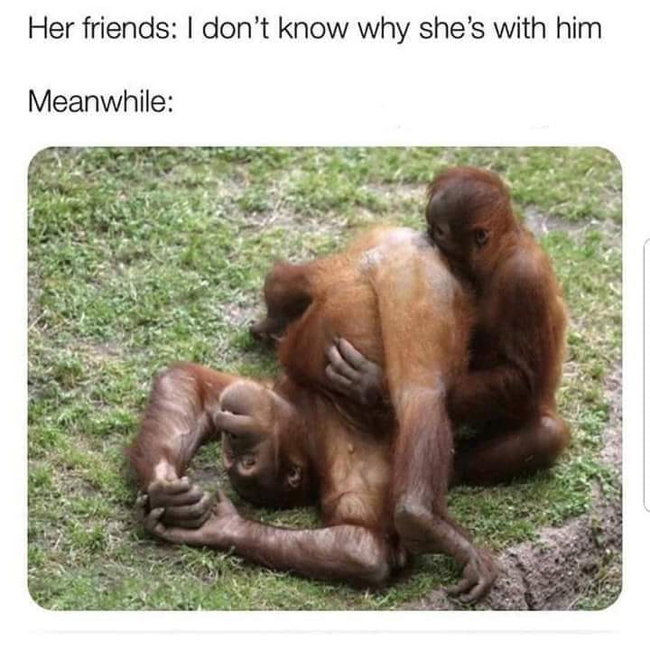 dank animals having oral sex - Her friends I don't know why she's with him Meanwhile