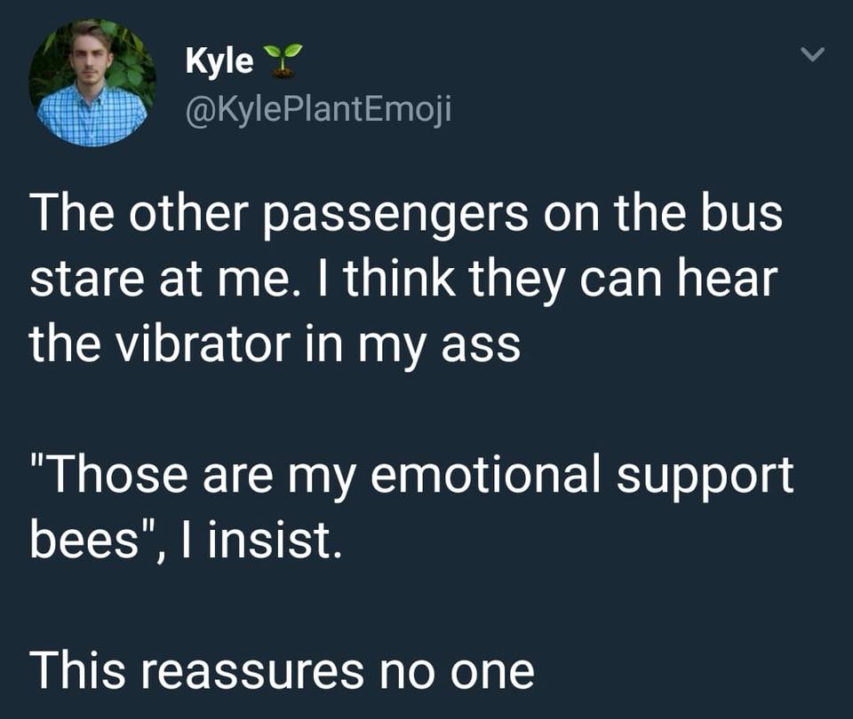 dank presentation - Kyle ye The other passengers on the bus stare at me. I think they can hear the vibrator in my ass "Those are my emotional support bees", I insist This reassures no one