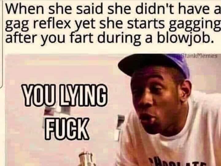 dank photo caption - When she said she didn't have a gag reflex yet she starts gagging after you fart during a blowjob, Stand Memes You Lying Fuck
