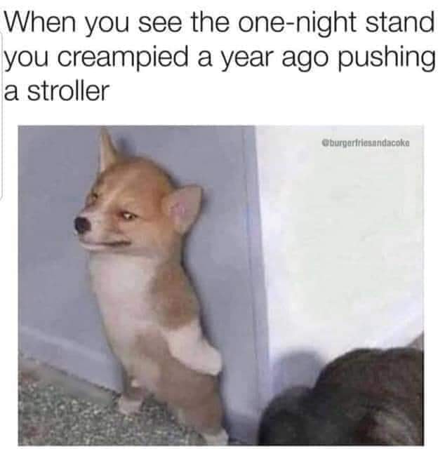 dank dog hiding from cat - When you see the onenight stand you creampied a year ago pushing a stroller