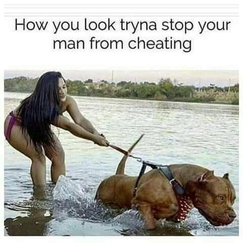 your man is cheating memes - How you look tryna stop your man from cheating
