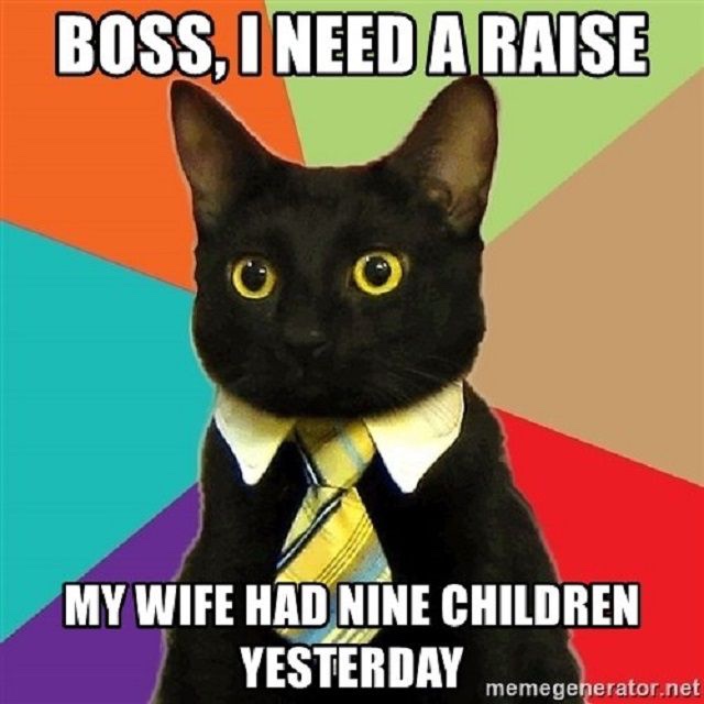 business cat meme - Boss, I Need A Raise My Wife Had Nine Children Yesterday memegenerator.net
