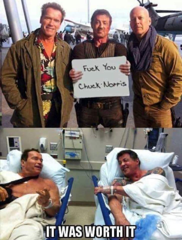 chuck norris it was worth - Fuck You Chuck Norris It Was Worth It
