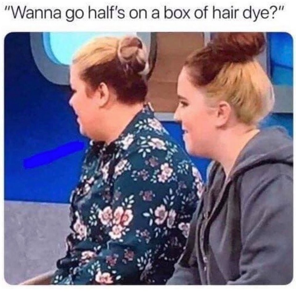half and half hair dye - "Wanna go half's on a box of hair dye?"