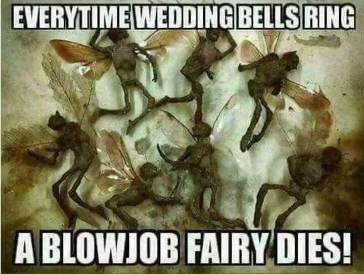 do we want - Everytime Weddingbells Ring A Blowjob Fairy Dies!