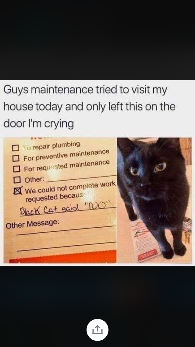 silly black cats - Guys maintenance tried to visit my house today and only left this on the door I'm crying To repair plumbing For preventive maintenance For requested maintenance Other We could not complete work requested becaus Dlack Cat Baid "Mo Other 