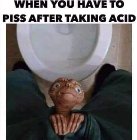 photo caption - When You Have To Piss After Taking Acid