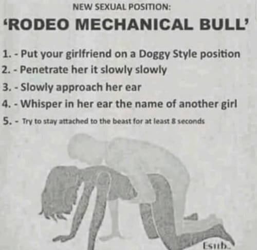 rodeo bull meme - New Sexual Position