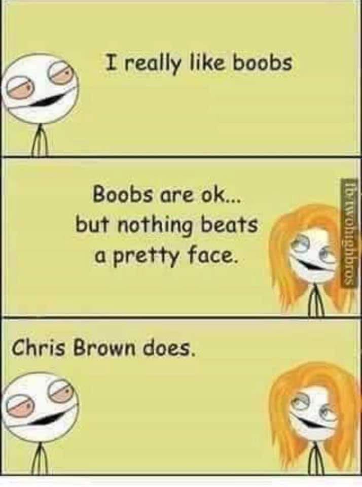nothing beats a pretty face meme - I really boobs Boobs are ok... but nothing beats a pretty face. to twonighbros Chris Brown does.