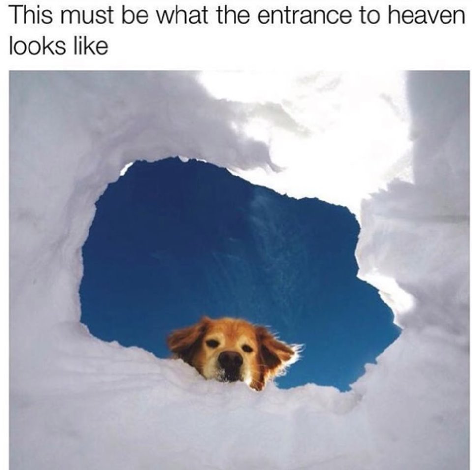 entrance to heaven looks like meme - This must be what the entrance to heaven looks