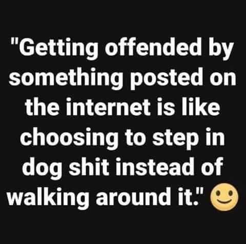 "Getting offended by something posted on the internet is choosing to step in dog shit instead of walking around it"