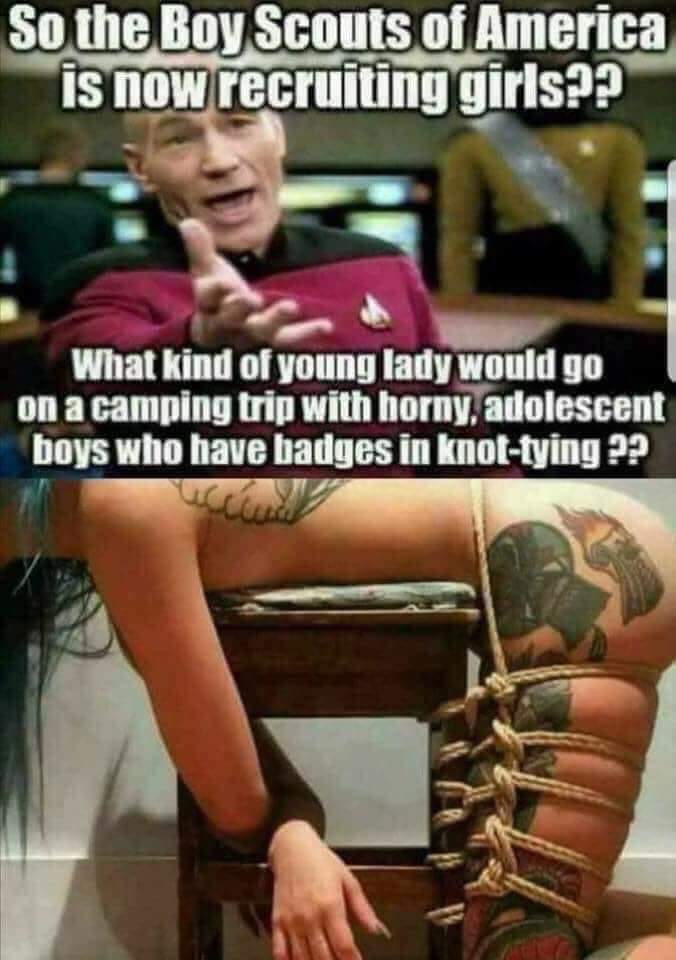 picard wtf - So the Boy Scouts of America is now recruiting girls?? What kind of young lady would go on a camping trip with horny, adolescent boys who have badges in knottying ??